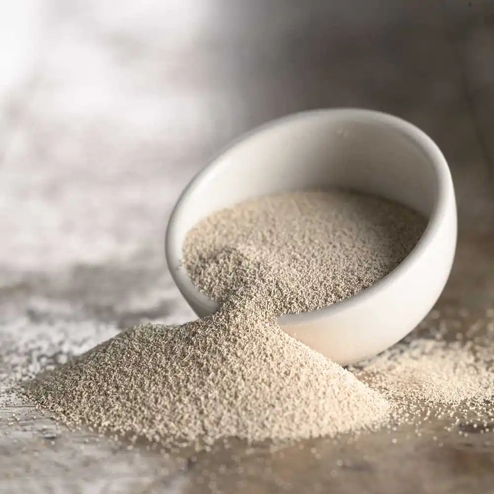 Red Star Active Dry Yeast