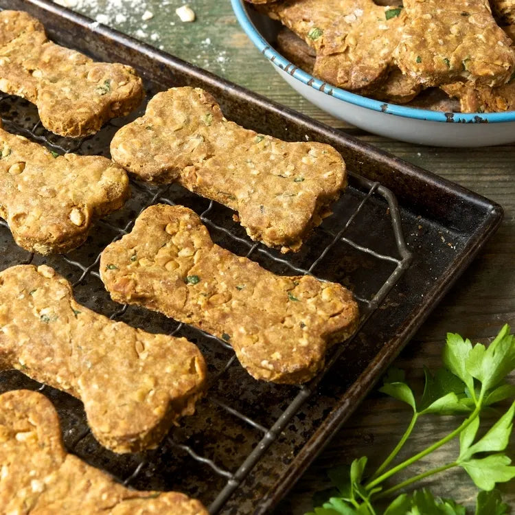 Dog Bone Biscuit Cutter