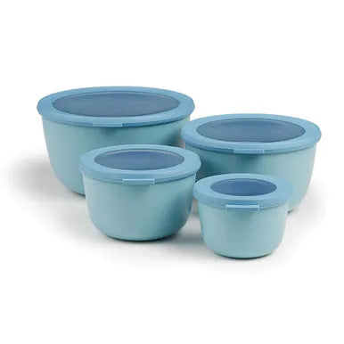 Storage Bowl with Lid - Set of 4