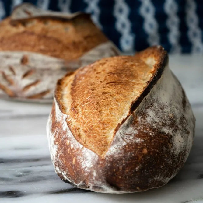Durum Flour