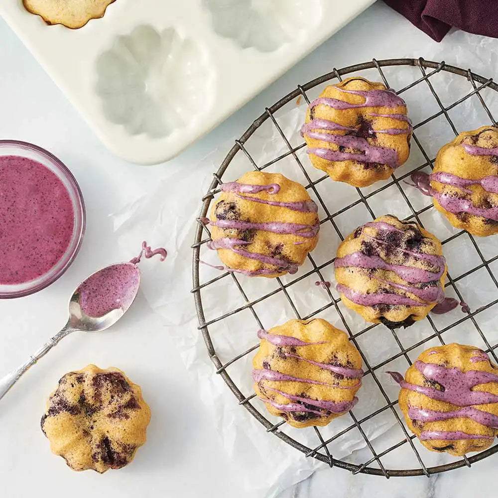 Organic Dried Blueberry Powder