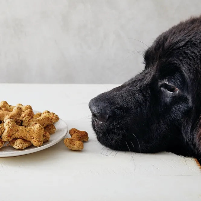 Dog Bone Mix and Pan Set